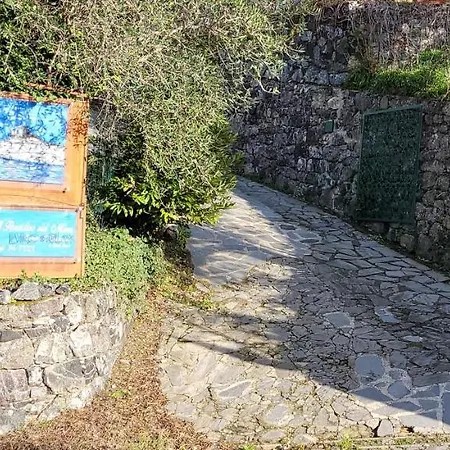 Il Paradiso Sul Mare