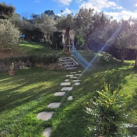 Il Paradiso Sul Mare *